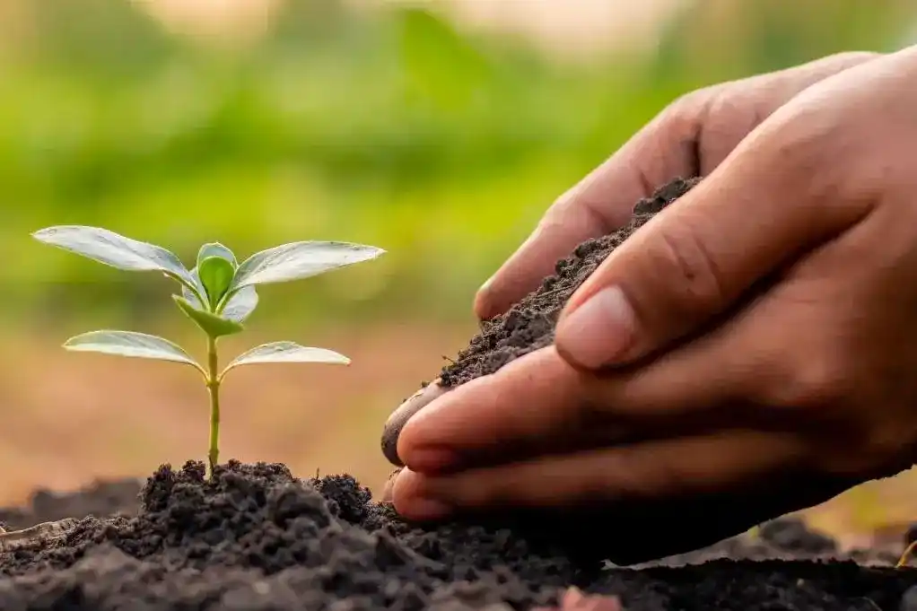 avvocato Studio legale Milano